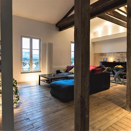 Lovely Loft With Terrace Bordeaux Appartement *